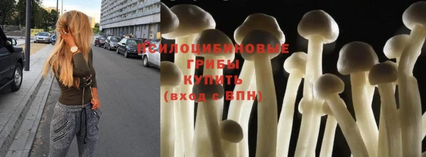 ECSTASY Володарск