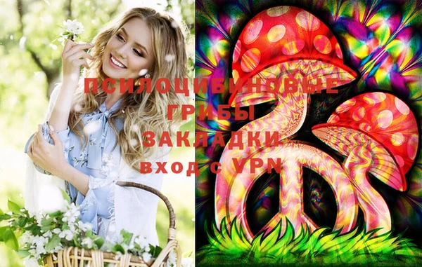 Альфа ПВП Волосово